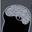 Noxiv / Oxid's profile picture