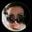 FRIKKA's profile picture