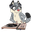 Wilford B. Wolf's profile picture