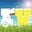 RadioVisie's profile picture