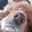 asiris74's profile picture