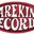 RarekindRecords's profile picture