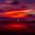 SOFT 85 / THE RAINBOW TRIBE's profile picture