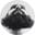 whitesaid's profile picture