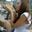 Kicca La Finferla's profile picture