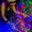 Caolythic Dnb's profile picture