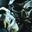 Animal9567's profile picture
