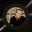 Michael E Decay Rawhill's profile picture