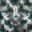 HYPERDRIVER's profile picture