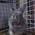 masamune430's profile picture
