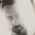 Matteo Fiore Fiorini's profile picture