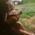 Katharine Langille's profile picture