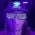 Ziplok's profile picture