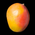 TheMangoTroops's profile picture