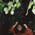 Yaeji's profile picture