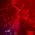 DJ_Sammels's profile picture