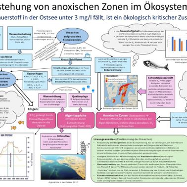 Chaotisch mit Geschmack: Wie entstehen Todeszonen? vom 06.07.2024