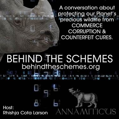 Where Are They Now? South Africa's Alleged Rhino Horn Traffickers by