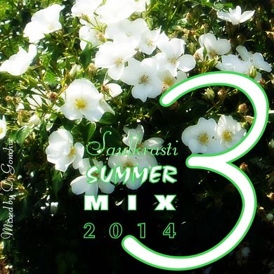 Saulkrasti Summer Mix 2014 vol.3