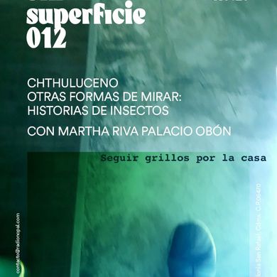 Sin Superficie #012 / 11 agosto 2020 / Martha Riva Palacio Obón