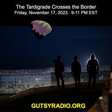 Bob from CA 11/17/2023 8-11 pm Show on Gutsy Radio
