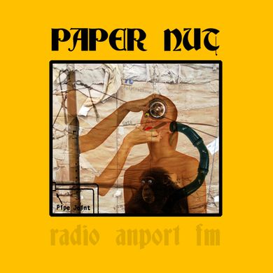 Paper Nut