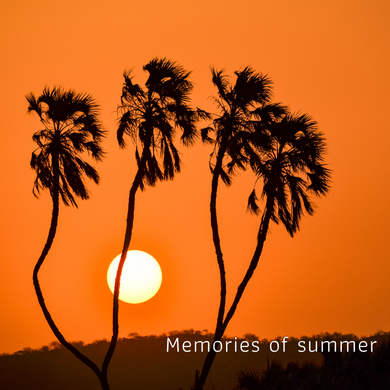 2021/6/3  Memories of Summer Mix