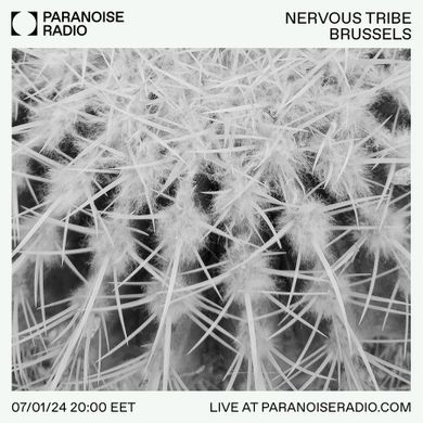Nervous Tribe - JAN 24