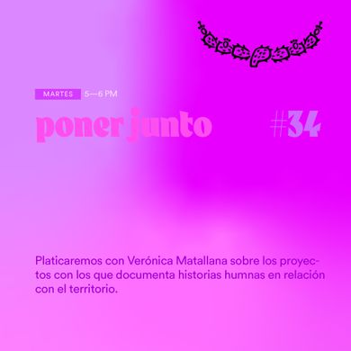 Poner junto #34 - "Pájaros del monte"