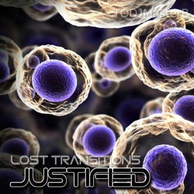 Lost Transitions: Justified 2020