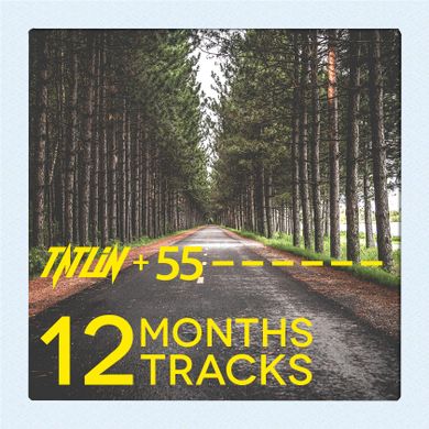 Tatlin and 55 - 12 months, 12 tracks (dj mix)