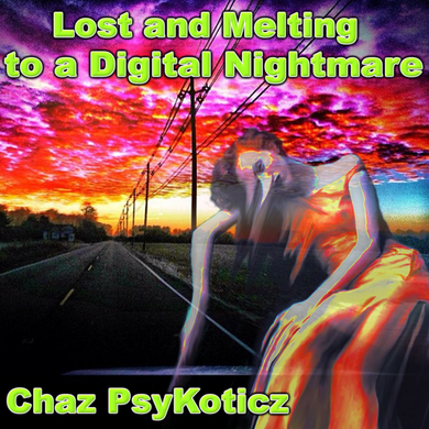 Lost and Melting to Audio in a Digital Nightmare (2012)