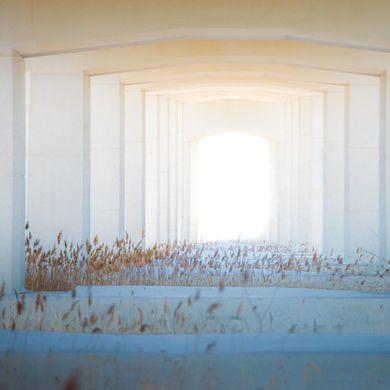 Out beyond ideas of wrongdoing and rightdoing there is a field.  I'll meet you there. /Rumi/