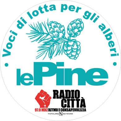 Le Pine #6