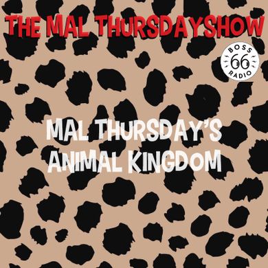 The Mal Thursday Show: Mal Thursday's Animal Kingdom