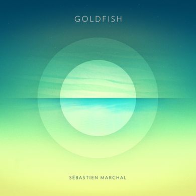 #352: Sebastien Marchal / Goldfish