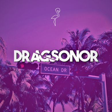 DRAGSONOR PLEDGE | 39 - YVAN SEALLES  [Pink Flamingo Selection]