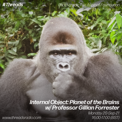 Internal Object: Planet of the Brains w/ Professor Gillian Forrester - 20-Sep-21