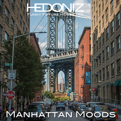 Manhattan Moods (Funky Disco Mix)