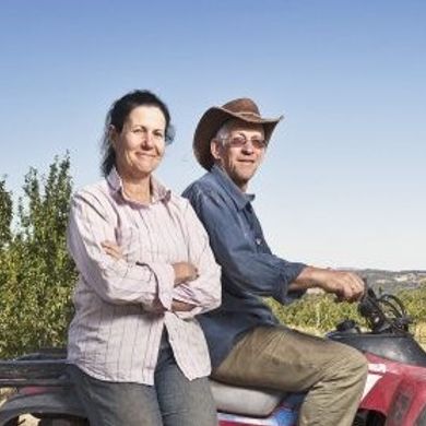 Dig It _23.05.2020_Interview with Katie Finley re Fruit tree selection