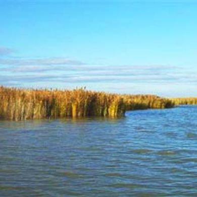 (1)'Neusiedler See' (+Musik) gelesen von Renate Spitzner