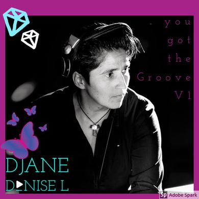 You got the Groove- V1 - mixed by DJane D_nise L'