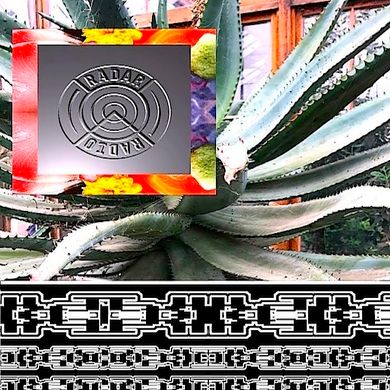 Filter Dread - 17th May 2017