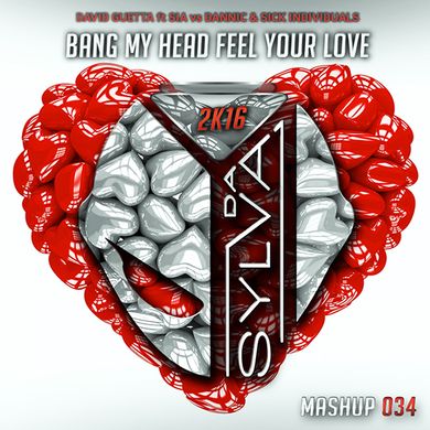 David Guetta ft Sia Vs Dannic & Sick Individuals - Bang My Head Feel Your Love (Da Sylva Mashup)