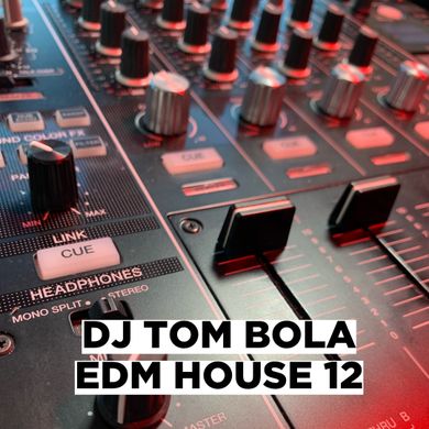 EDM House 12