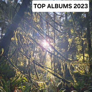 Top Albums 2023 - In the Realm of The Velvet Unicorn