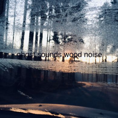 Ghost Sounds Wood Noise #31 - Chra