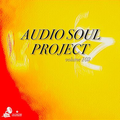 SPROUT SESSIONS-VOLUME 102-AUDIO SOUL PROJECT (Chicago, Illinios)