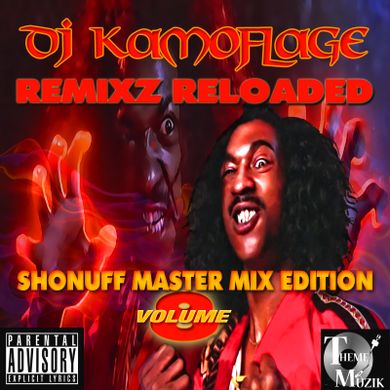 DJ KAMOFLAGE REMIXZ RELOADED VOL. 8 SHONUFF MASTER MIX EDITION