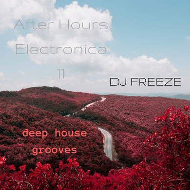 After Hours Electronica 11 \\ mixed by Freeze